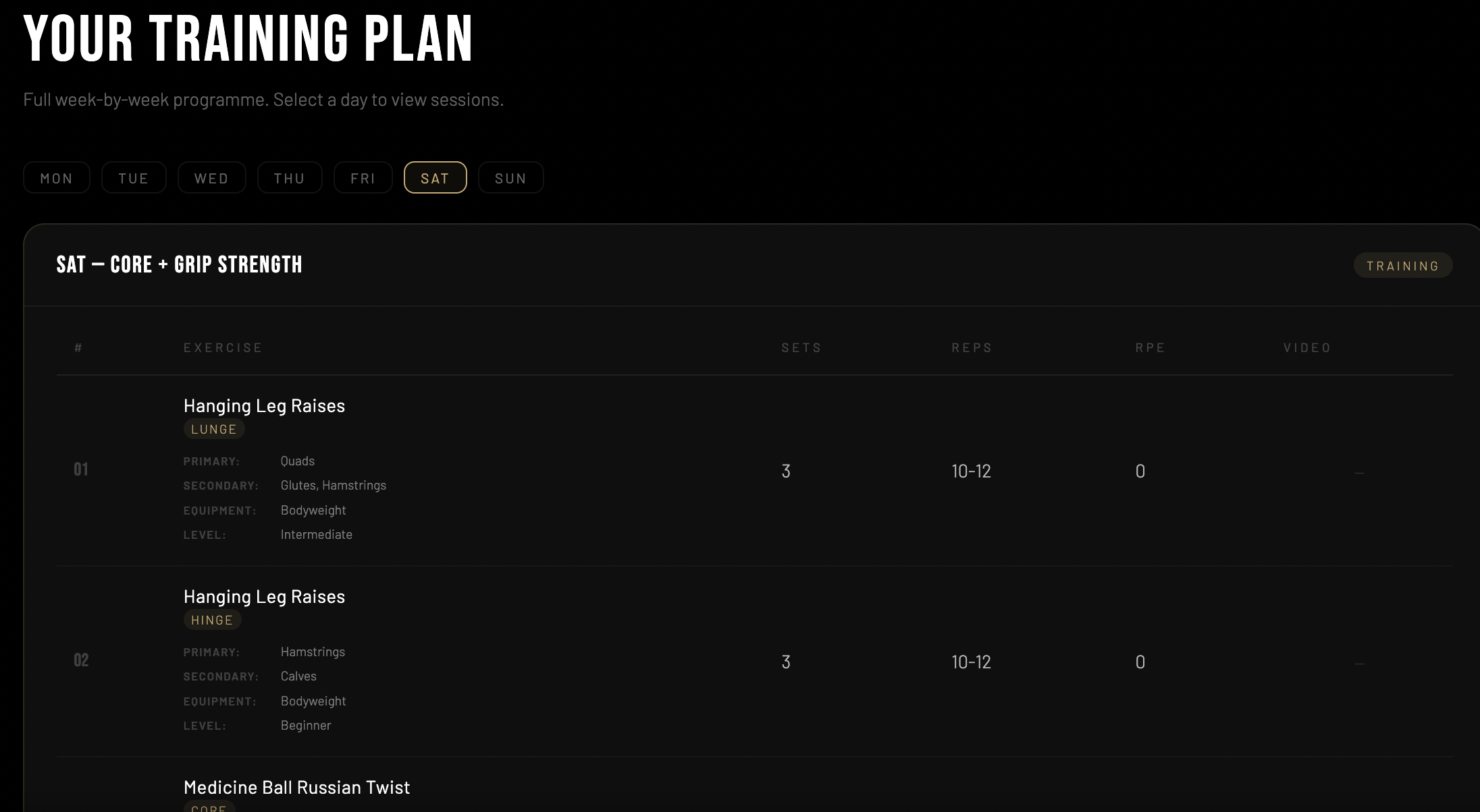 Training plan view in client dashboard